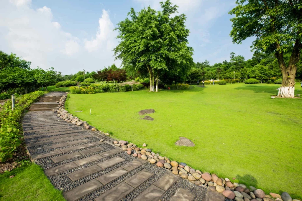 landscape and greening environment background